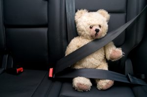 דובי חגור בחגורת בטיחות